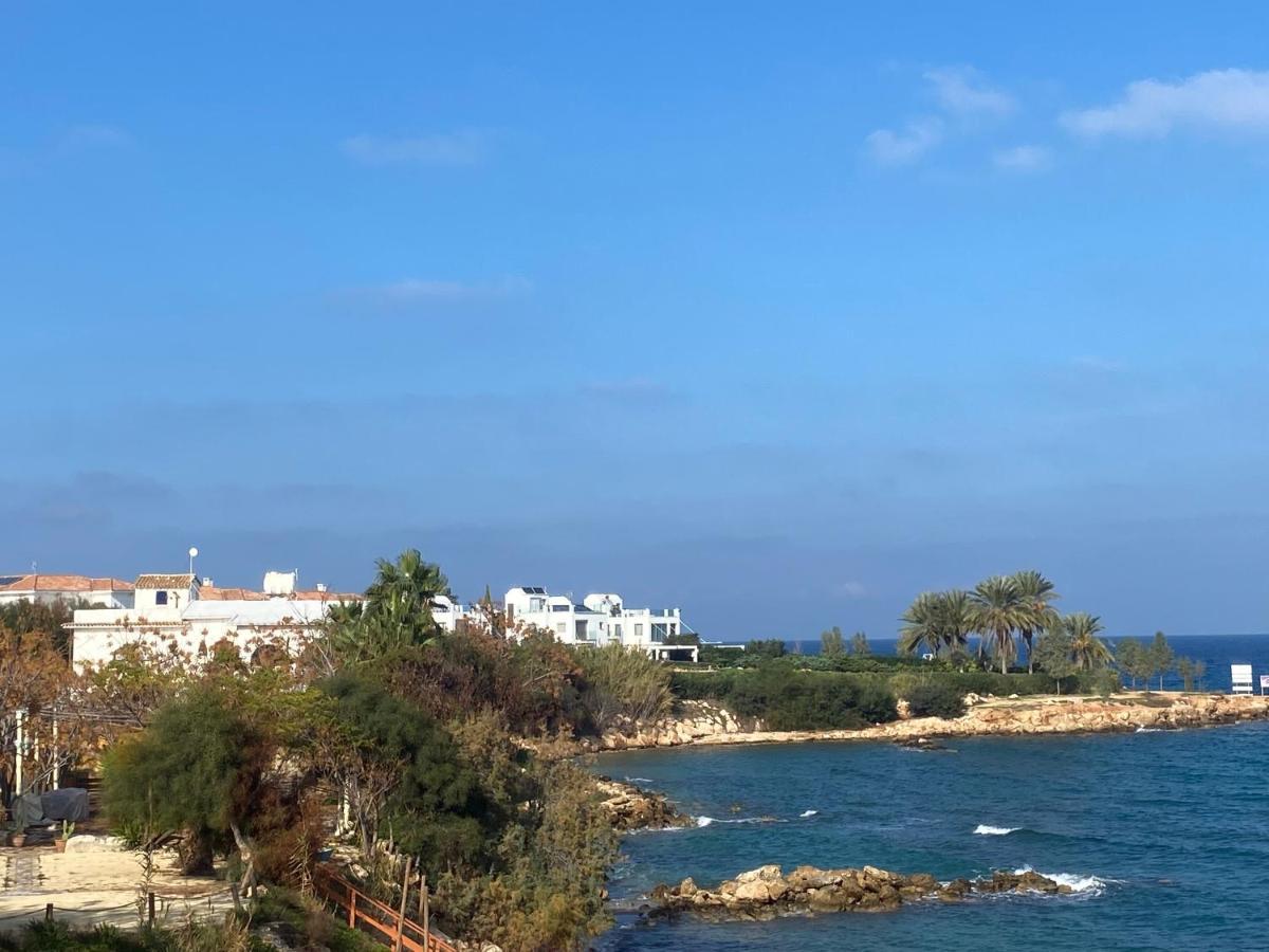 Olive Tree Villa - Protaras Extérieur photo
